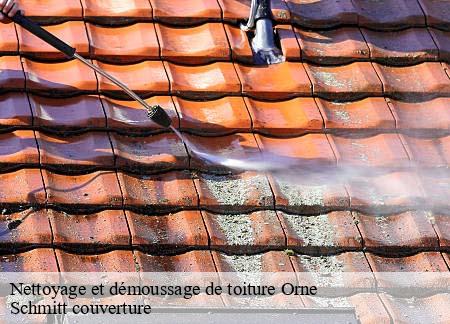 Nettoyage et démoussage de toiture 61 Orne  Schmitt couverture