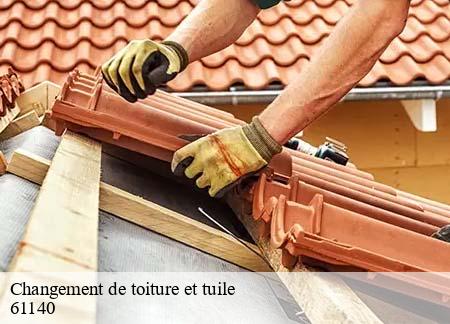 Changement de toiture et tuile 61140