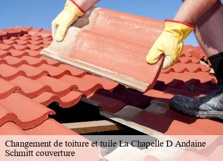 Changement de toiture et tuile la-chapelle-d-andaine-61140 Schmitt couverture