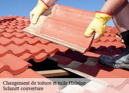 Changement de toiture et tuile haleine-61410 Schmitt couverture