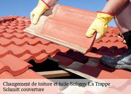 Changement de toiture et tuile soligny-la-trappe-61380 Schmitt couverture