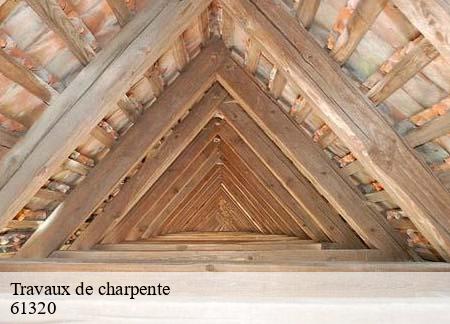 Travaux de charpente 61320