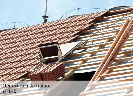 Rénovation de toiture 61140