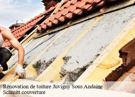 Rénovation de toiture juvigny-sous-andaine-61140 Schmitt couverture