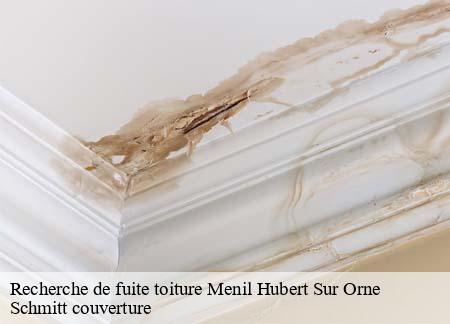 Recherche de fuite toiture menil-hubert-sur-orne-61430 Schmitt couverture