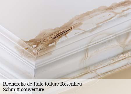 Recherche de fuite toiture resenlieu-61230 Schmitt couverture