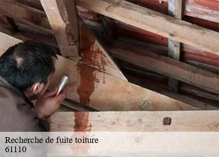 Recherche de fuite toiture 61110