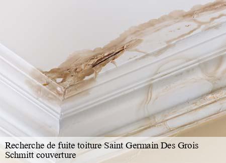 Recherche de fuite toiture saint-germain-des-grois-61110 Schmitt couverture