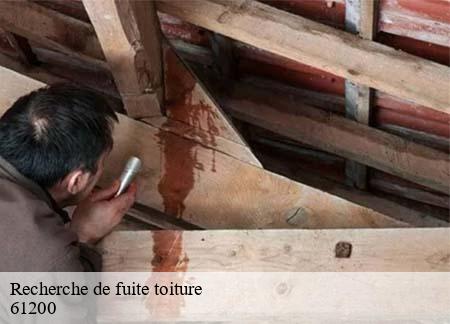 Recherche de fuite toiture 61200