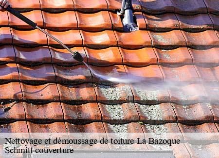 Nettoyage et démoussage de toiture la-bazoque-61100 Schmitt couverture