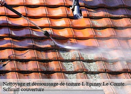 Nettoyage et démoussage de toiture l-epinay-le-comte-61350 Schmitt couverture