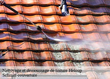 Nettoyage et démoussage de toiture heloup-61250 Schmitt couverture