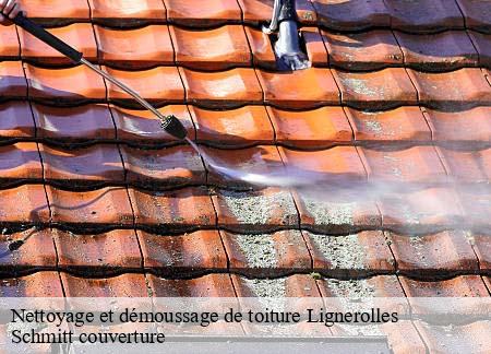 Nettoyage et démoussage de toiture lignerolles-61190 Schmitt couverture