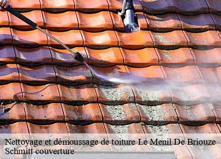 Nettoyage et démoussage de toiture le-menil-de-briouze-61220 Schmitt couverture