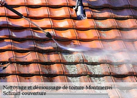 Nettoyage et démoussage de toiture montmerrei-61570 Schmitt couverture