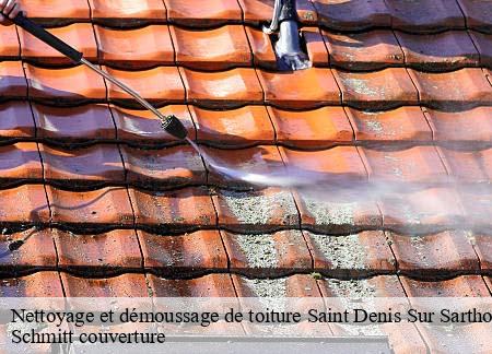 Nettoyage et démoussage de toiture saint-denis-sur-sarthon-61420 Schmitt couverture