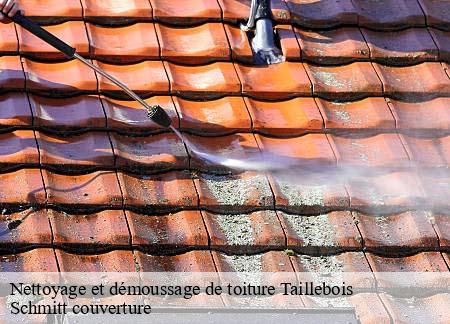 Nettoyage et démoussage de toiture taillebois-61100 Schmitt couverture