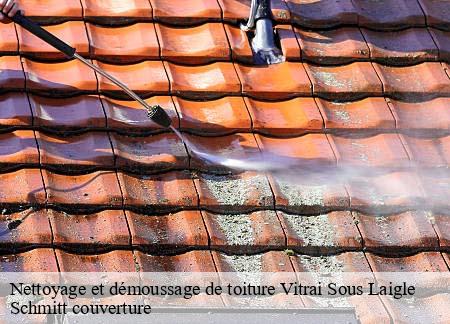 Nettoyage et démoussage de toiture vitrai-sous-laigle-61300 Schmitt couverture