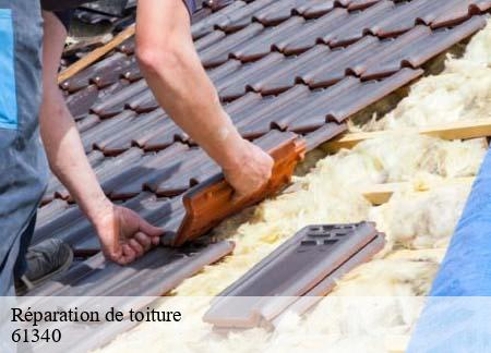 Réparation de toiture 61340