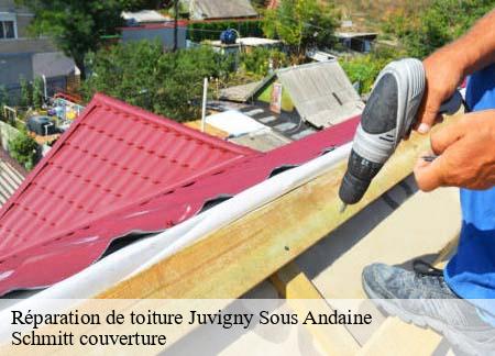 Réparation de toiture juvigny-sous-andaine-61140 Schmitt couverture