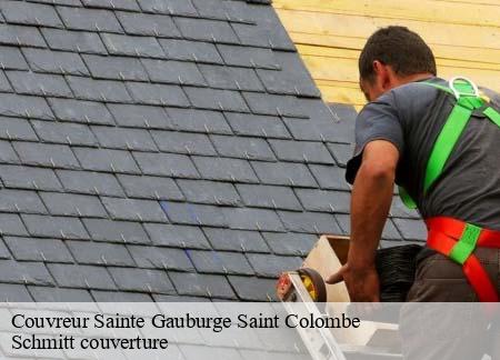 Couvreur sainte-gauburge-saint-colombe-61370 Schmitt couverture