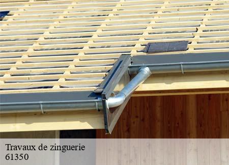 Travaux de zinguerie 61350